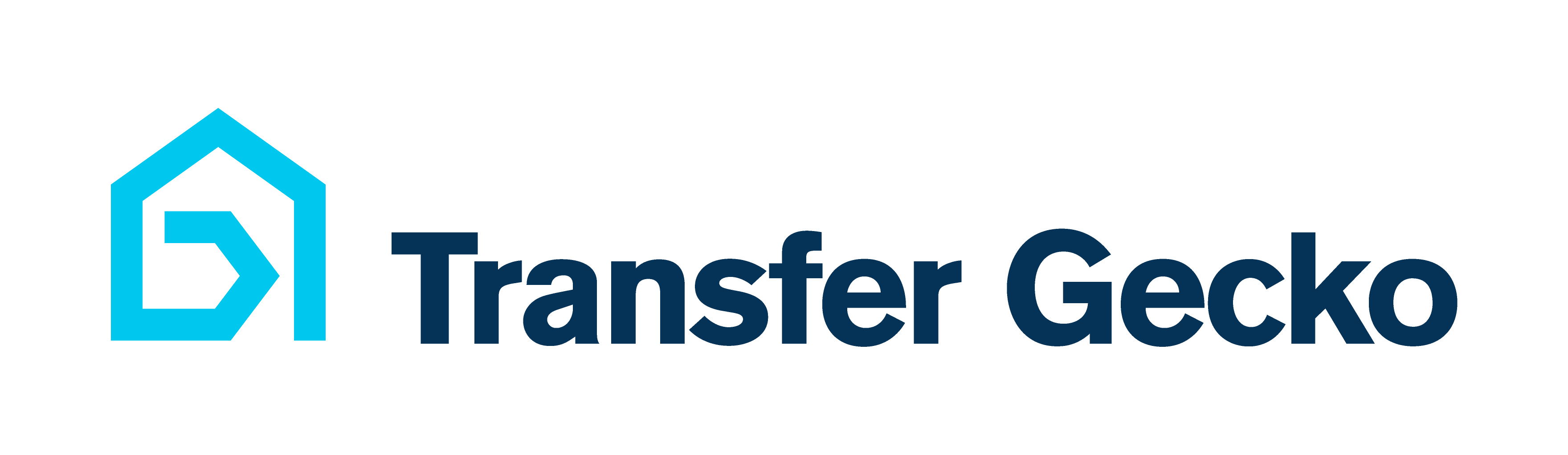 Transfer Gecko Utilities logo